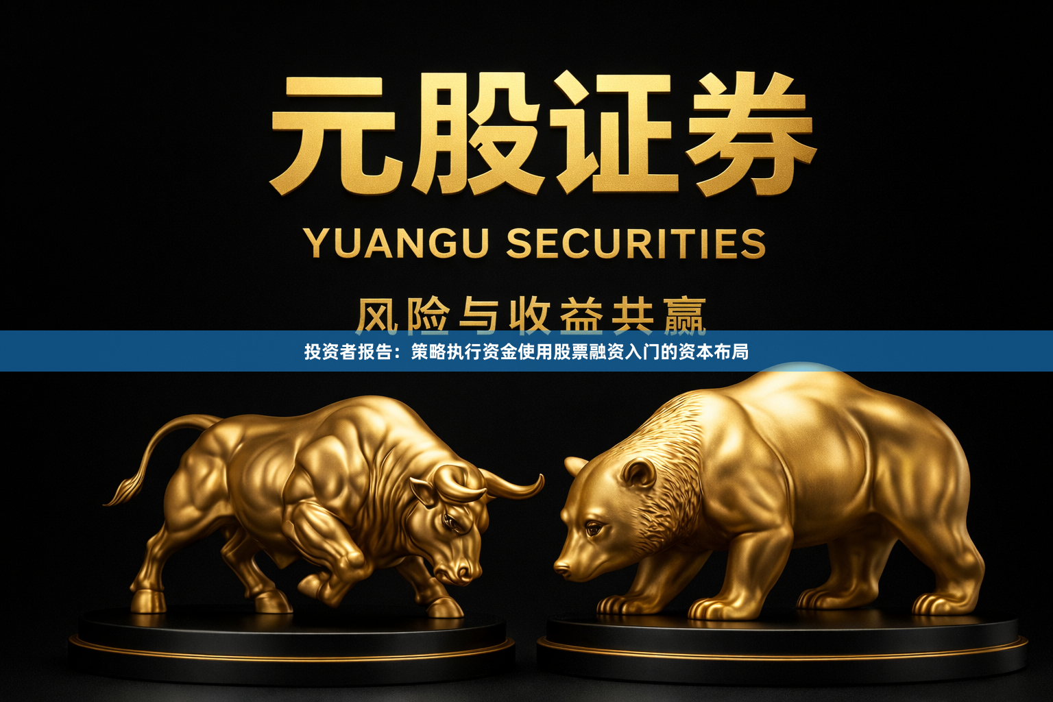 投资者报告：策略执行资金使用股票融资入门的资本布局